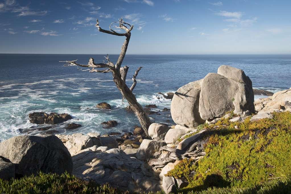 Inn At Spanish Bay Pebble Beach Екстер'єр фото