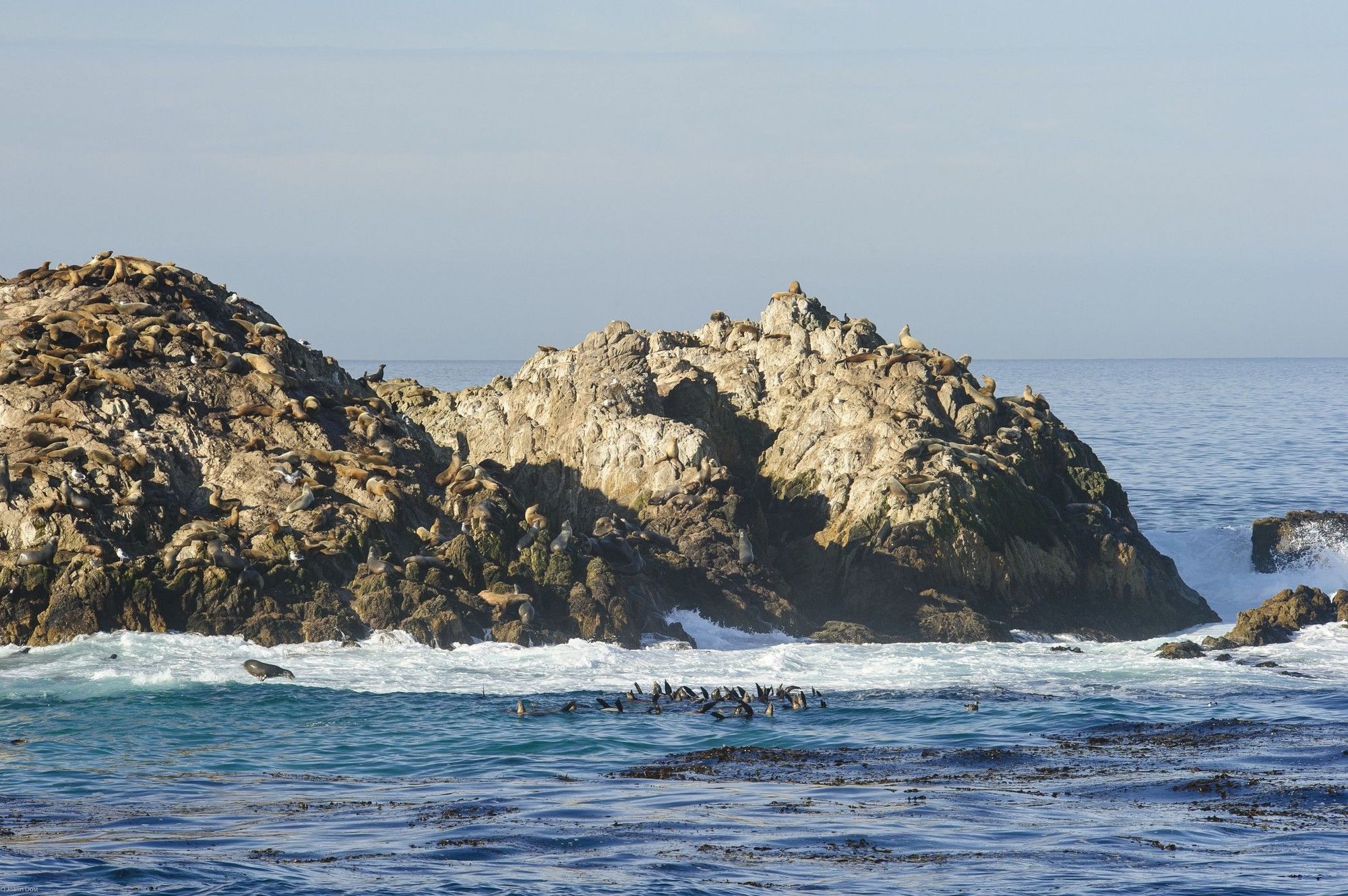 Inn At Spanish Bay Pebble Beach Екстер'єр фото